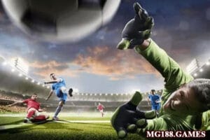 Giới thiệu về CMD Sport điểm đến vàng cho làng cá cược thể thao