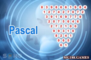 Cầu Pascal là gì?